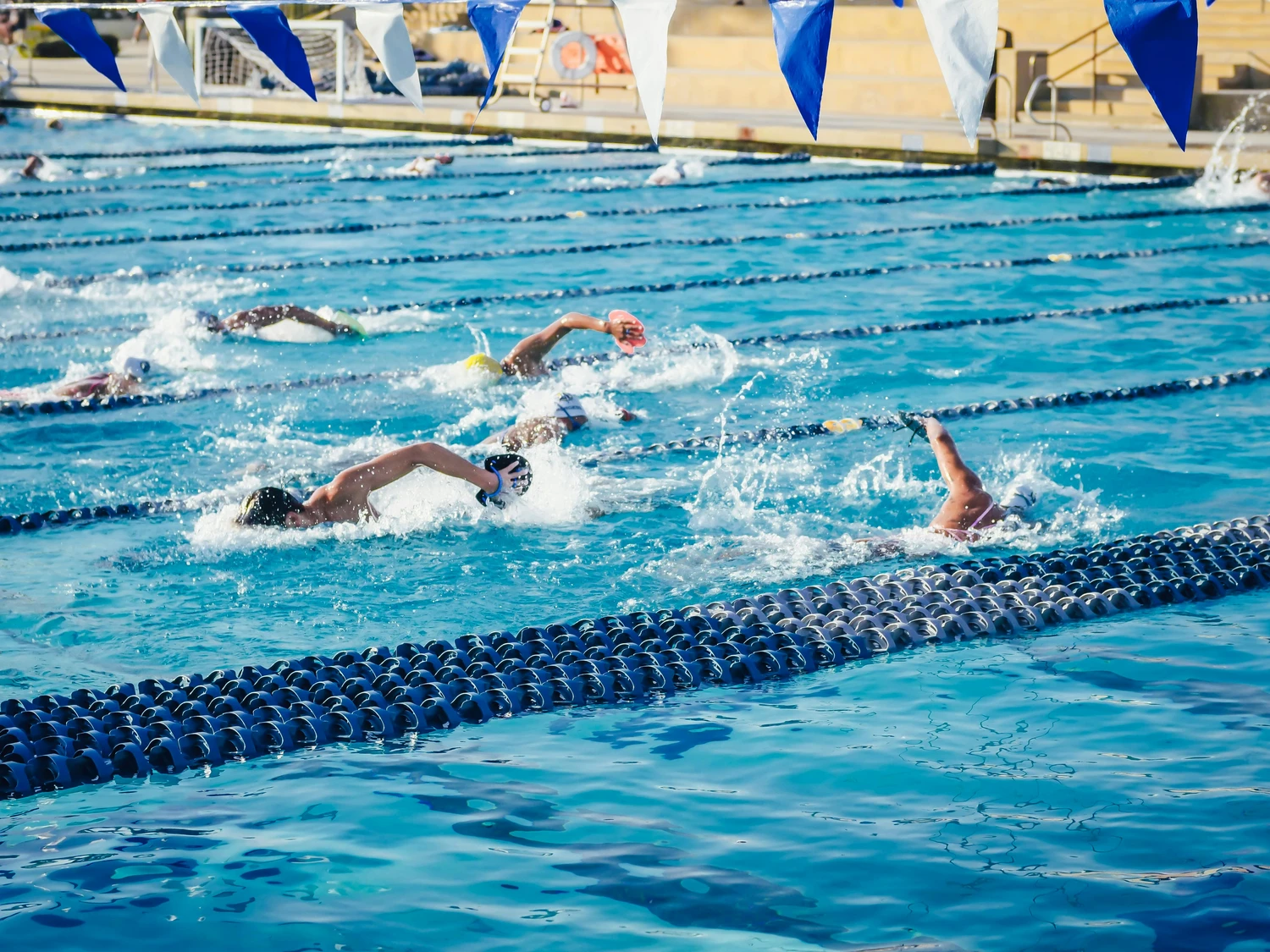 Hai Five - Schwimmschule -  Schwimmer liefern sich ein Freistil-Rennen in einem großen Freibad.